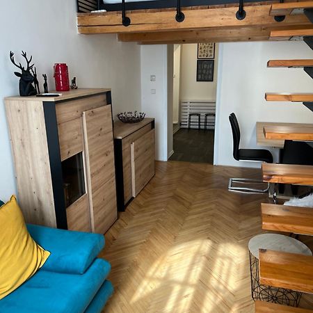 Apartment Plus Parking 布尔诺 外观 照片
