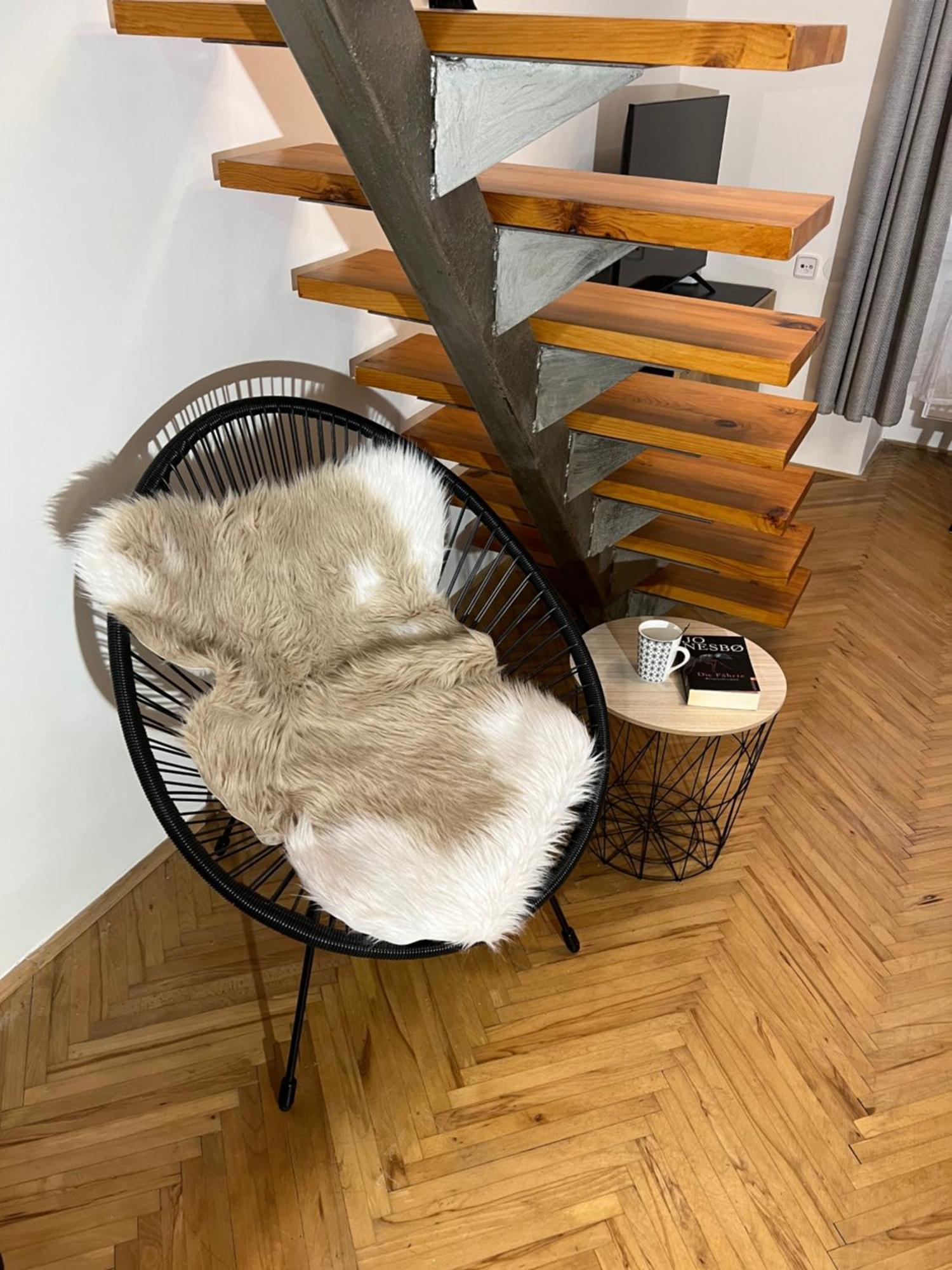 Apartment Plus Parking 布尔诺 外观 照片